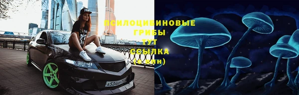 прущая мука Алзамай