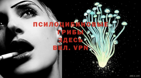 кокаин перу Аркадак