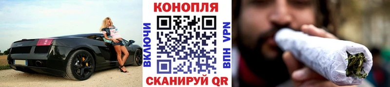 Каннабис план  наркота  Моздок 